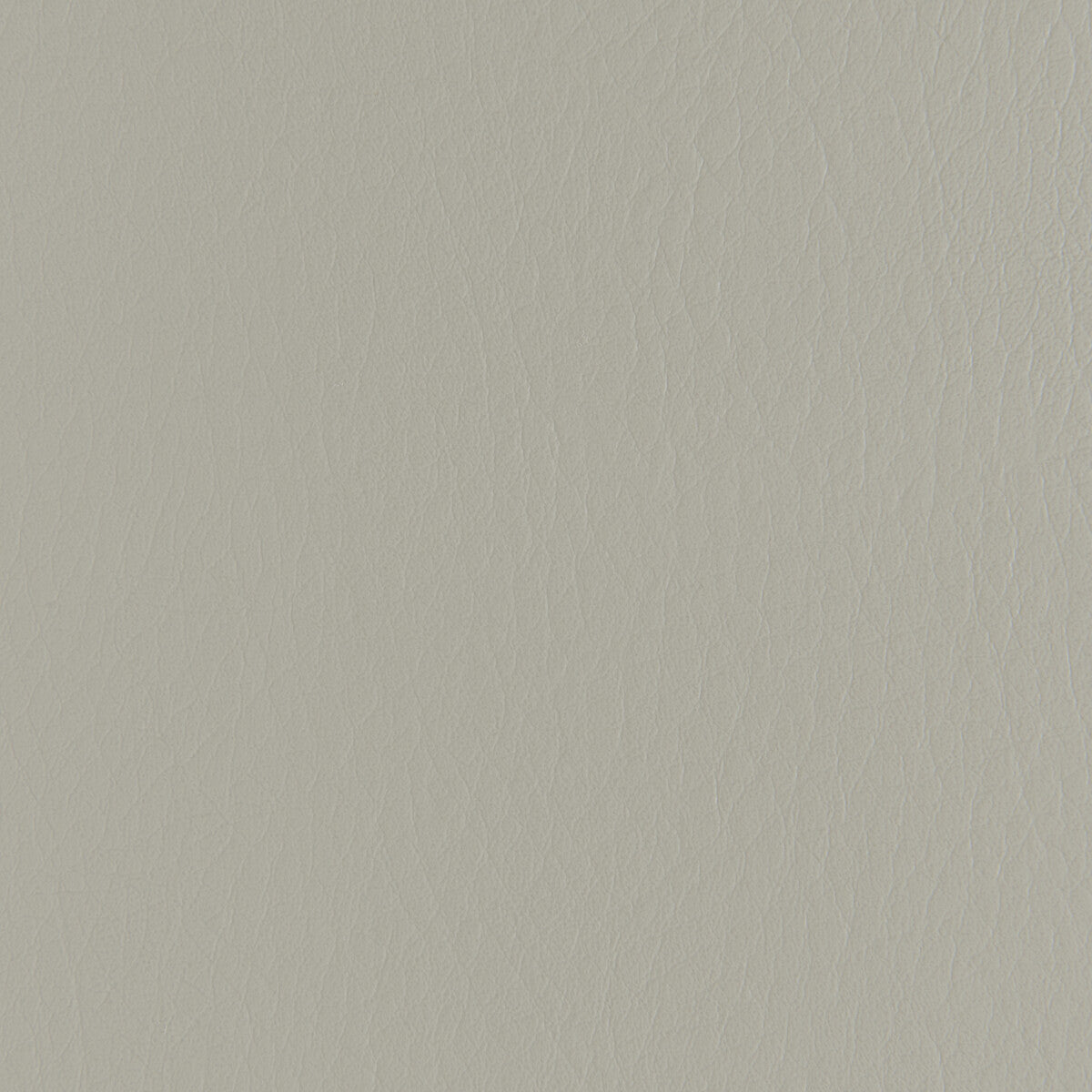 Kravet Contract Forza Tundra Fabric Sample FORZA.2111.0
