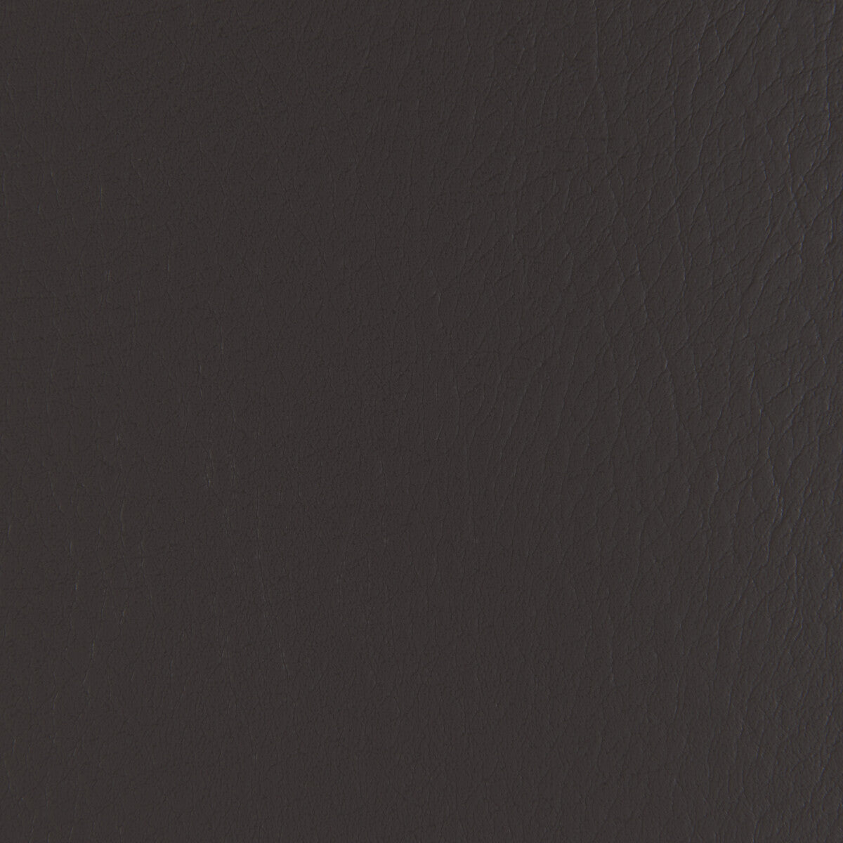 Kravet Contract Forza Stallion Fabric Sample FORZA.2121.0