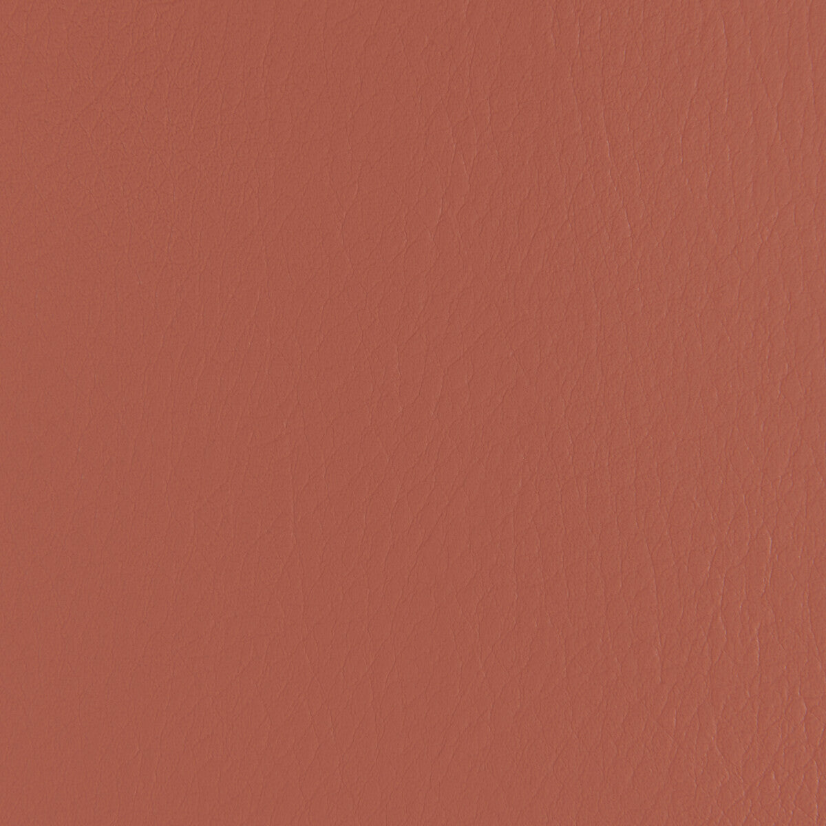 Kravet Contract Forza Clay Fabric Sample FORZA.24.0