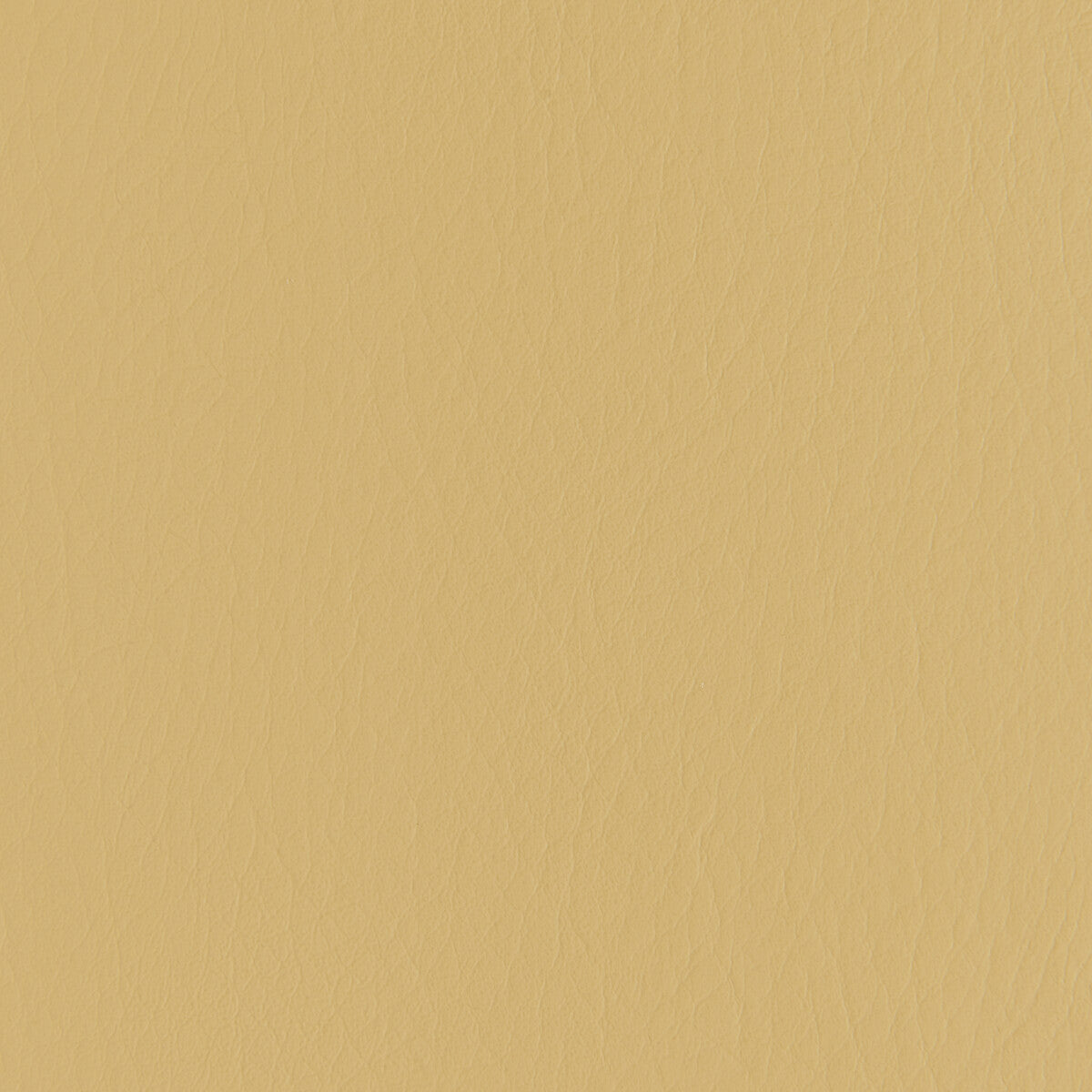 Kravet Contract Forza Butterscotch Fabric Sample FORZA.416.0