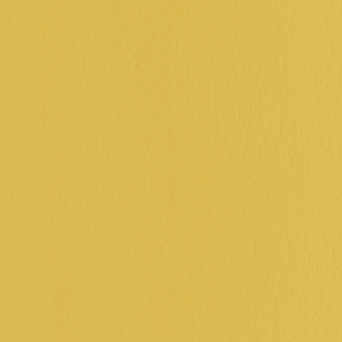 Kravet Contract Forza Dandelion Fabric Sample FORZA.4.0