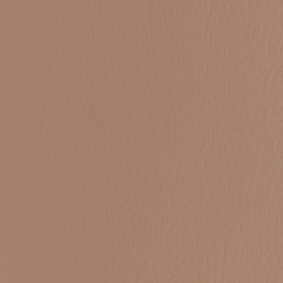 Kravet Contract Forza Praline Fabric Sample FORZA.610.0