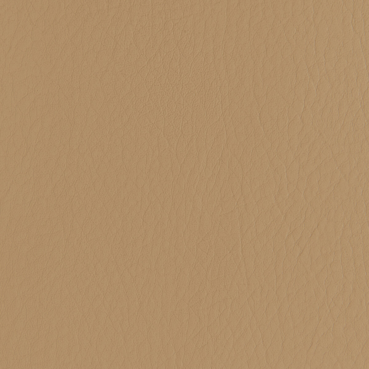 Kravet Contract Forza Caramel Fabric Sample FORZA.6116.0