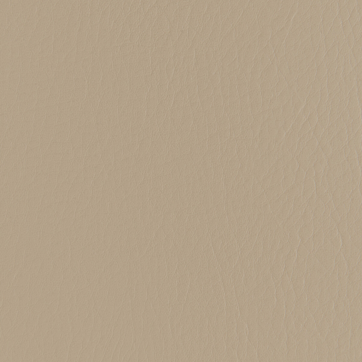Kravet Contract Forza Fieldstone Fabric Sample FORZA.611.0