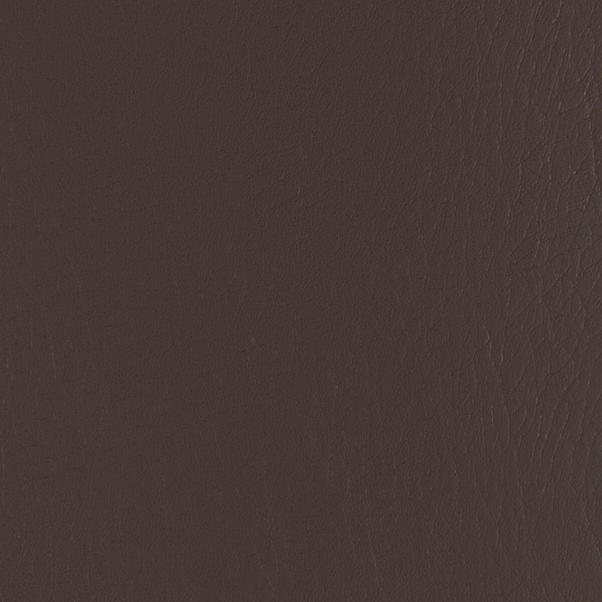 Kravet Contract Forza Java Fabric Sample FORZA.66.0