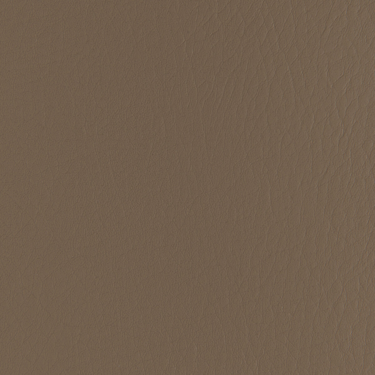 Kravet Contract Forza Walnut Fabric Sample FORZA.6.0