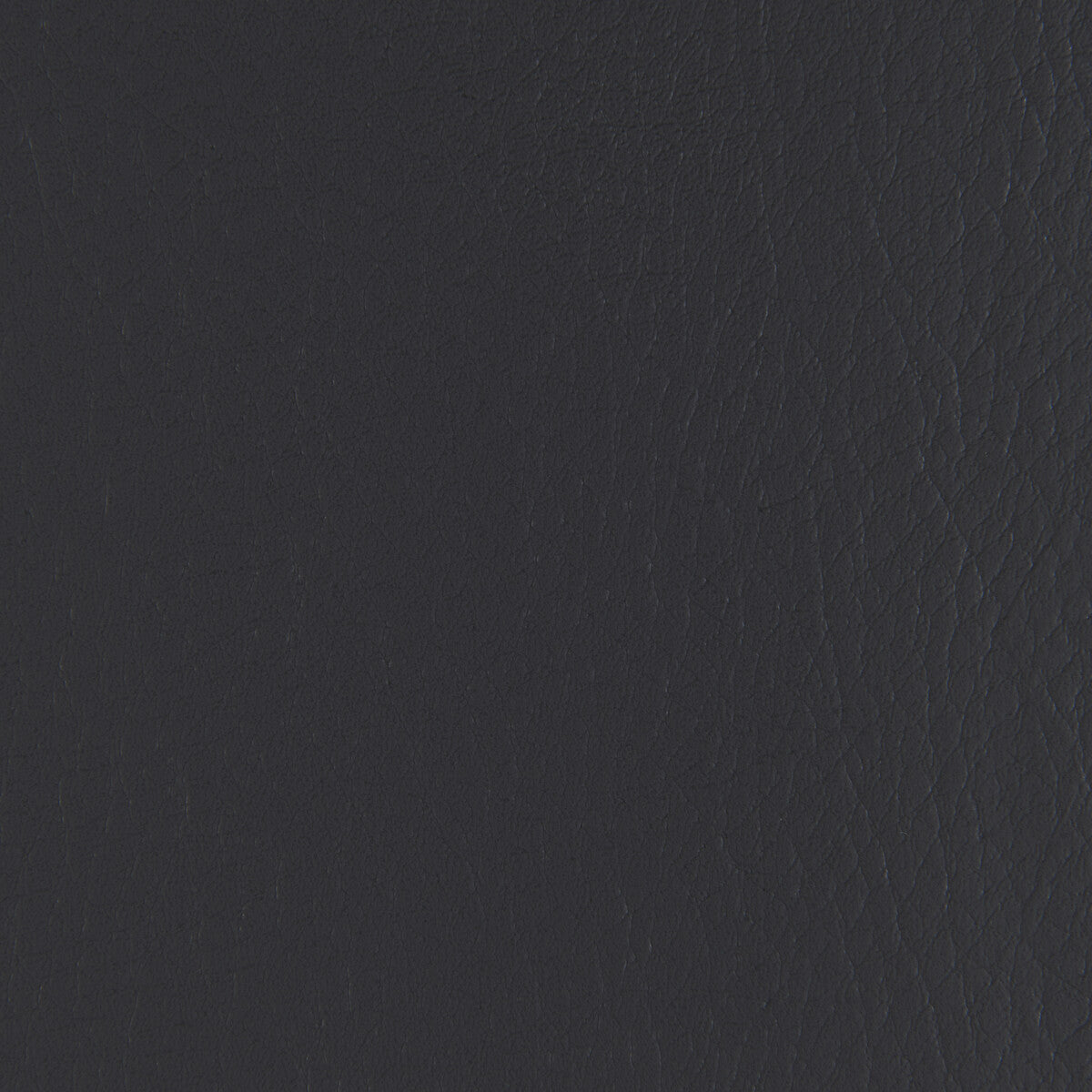 Kravet Contract Forza Jet Fabric Sample FORZA.8.0