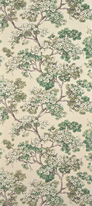 Pierre Frey Courtine Fin D'ete Wallpaper FP279002