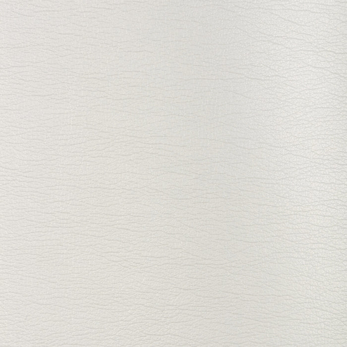 Kravet Design GALLEON.1.0 Galleon-1 Fabric Sample