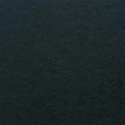 Kravet Design GALLEON.50.0 Galleon-50 Fabric Sample