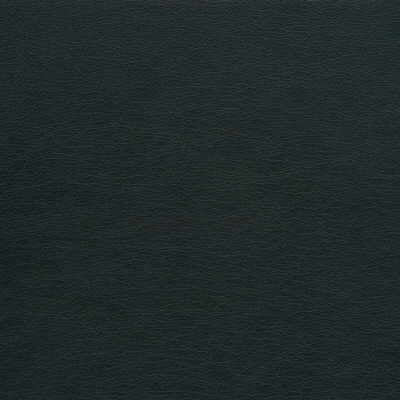 Kravet Design GATO.21.0 Gato-21 Fabric Sample
