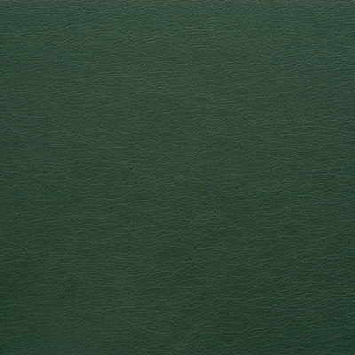 Kravet Design GATO.303.0 Gato-303 Fabric Sample