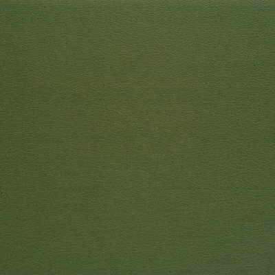 Kravet Design GATO.35.0 Gato-35 Fabric Sample