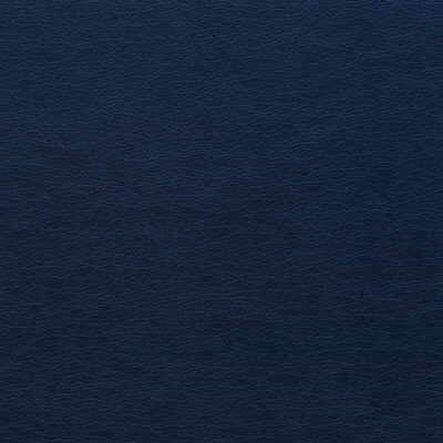 Kravet Design GATO.50.0 Gato-50 Fabric Sample
