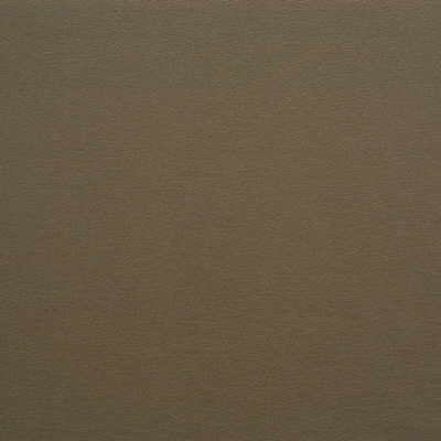 Kravet Design GATO.621.0 Gato-621 Fabric Sample