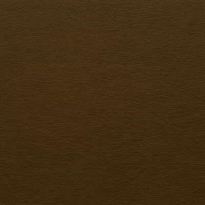 Kravet Design GATO.66.0 Gato-66 Fabric Sample