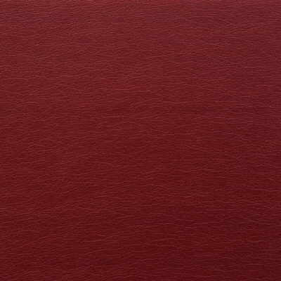Kravet Design GATO.909.0 Gato-909 Fabric Sample