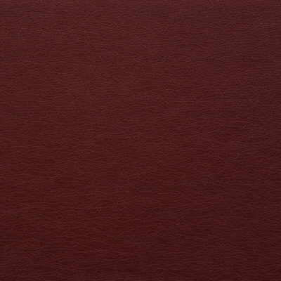 Kravet Design GATO.9.0 Gato-9 Fabric Sample