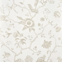 Pierre Frey Jardin De Paradis Coquille Wallpaper FP327005