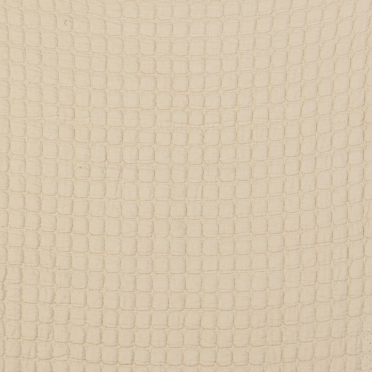 Gaston Y Daniela Morera Crudo Fabric GDT5523.002.0