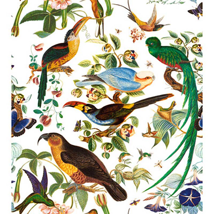 Gaston Y Daniela Oaxaca Blanco Fabric Sample GDT5562.001.0