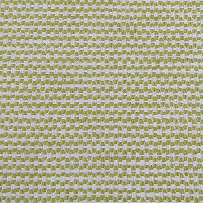 Gaston Y Daniela Palenque Lima Fabric Sample GDT5595.003.0