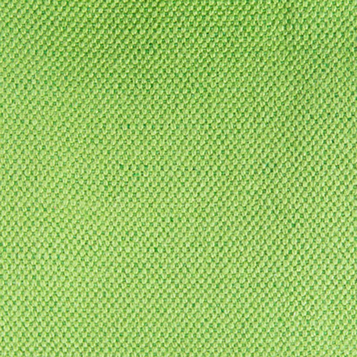 Gaston Y Daniela Lima Verde Claro Fabric Sample GDT5616.010.0