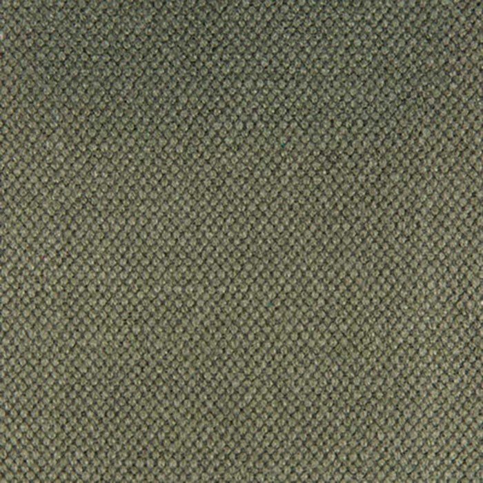 Gaston Y Daniela Lima Kaki Fabric Sample GDT5616.031.0