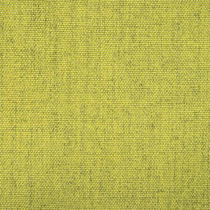 Gaston Y Daniela Kuu Verde Fabric Sample GDT5632.010.0