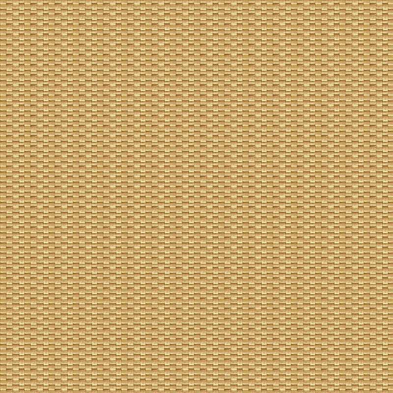 Gaston Y Daniela Isamu Paja Fabric Sample GDT5637.005.0