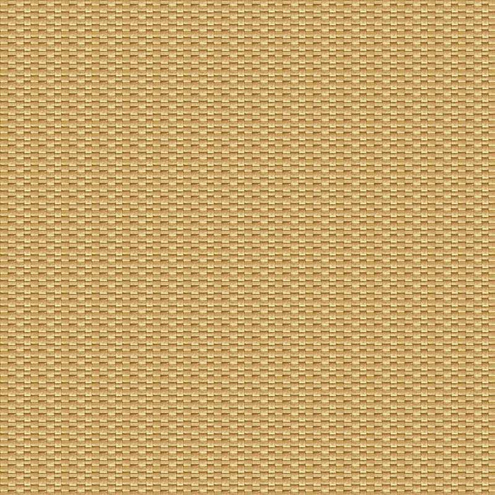 Gaston Y Daniela Isamu Paja Fabric Sample GDT5637.005.0