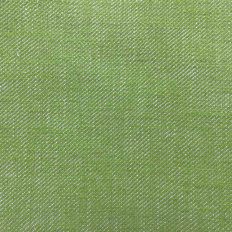 Gaston Y Daniela Hisa Verde Manzana Fabric Sample GDT5639.019.0