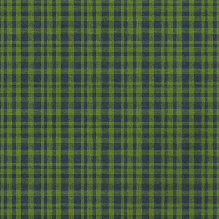 Gaston Y Daniela Drach Verde/Azul Fabric Sample GDT5675.008.0