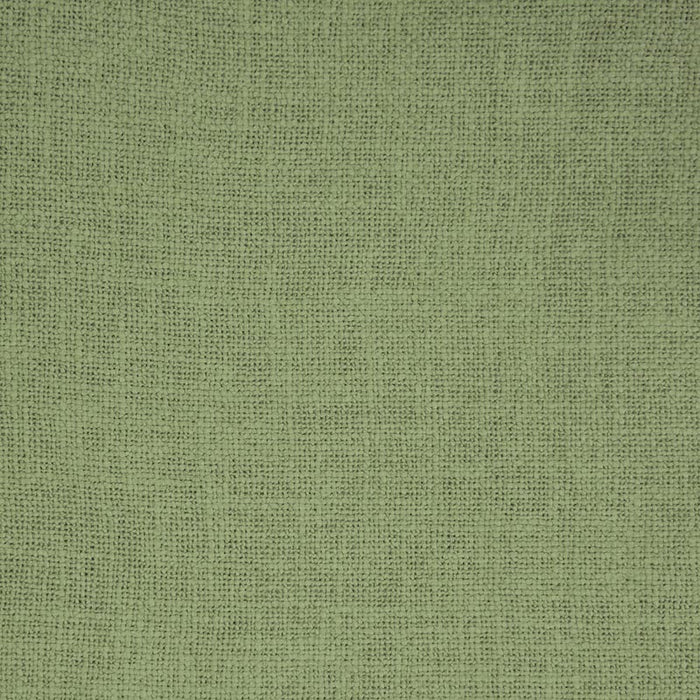 Gaston Y Daniela Bellver Musgo Fabric Sample GDT5676.036.0