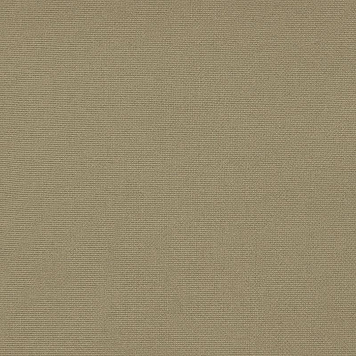 Gaston Y Daniela Palma Caracol Fabric Sample GDT5688.064.0