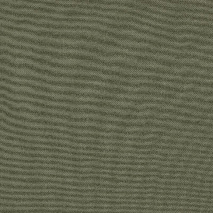 Gaston Y Daniela Palma Tortuga Fabric Sample GDT5688.065.0