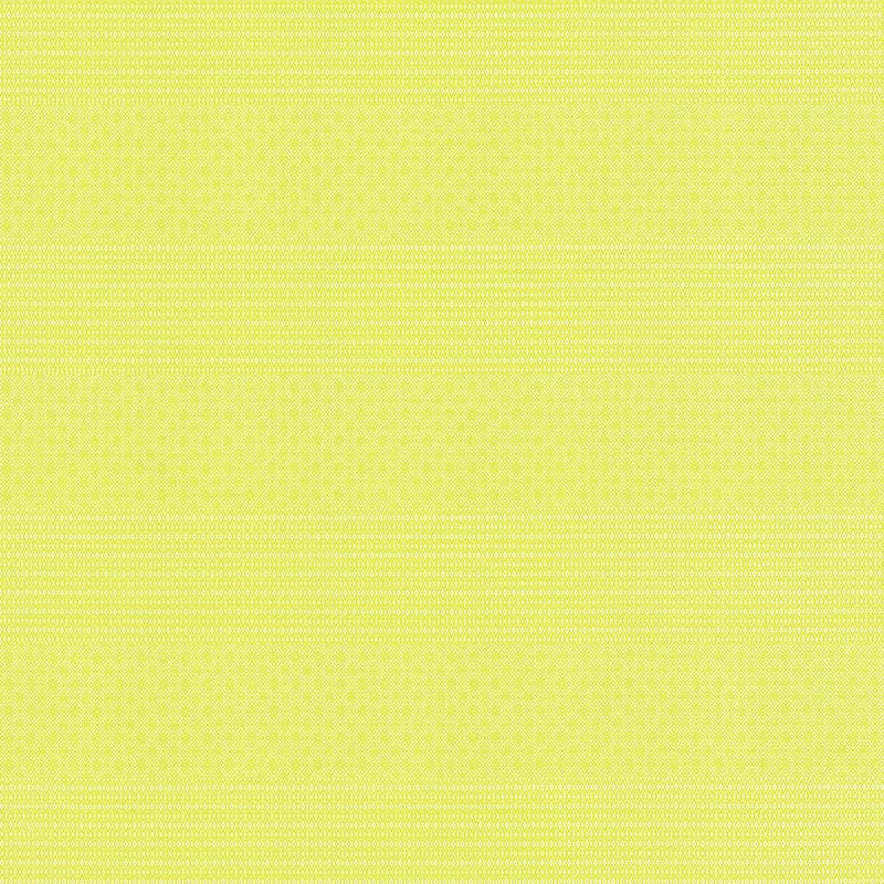 Gaston Y Daniela Kailas Lima Fabric GDT5697.004.0