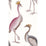 Gaston Y Daniela Garzas Blanco Wallpaper Sample GDW5773.007.0