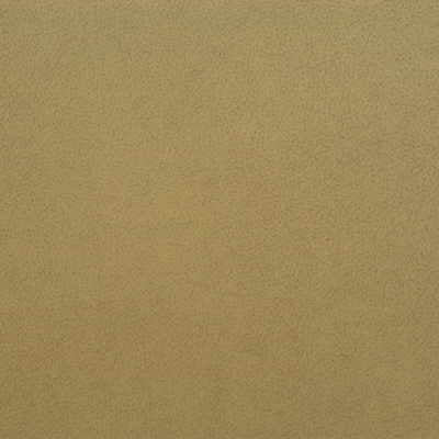 Kravet Design GENSLAR.116.0 Genslar-116 Fabric Sample