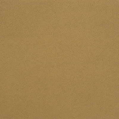 Kravet Design GENSLAR.16.0 Genslar-16 Fabric Sample