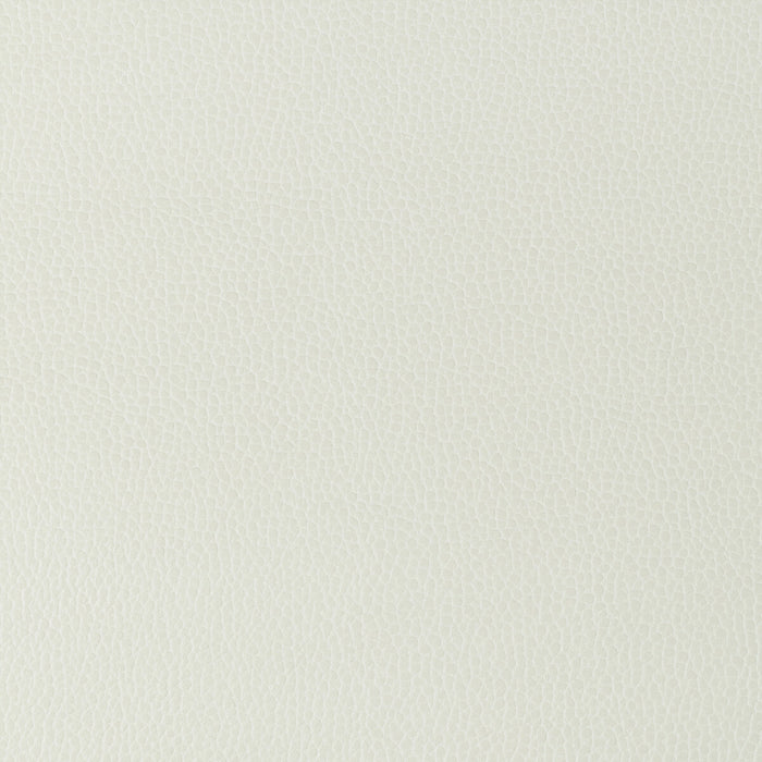 Kravet Design GILLIAN.101.0 Gillian-101 Fabric