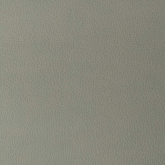 Kravet Design GILLIAN.11.0 Gillian-11 Fabric