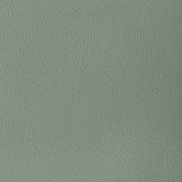 Kravet Design GILLIAN.1313.0 Gillian-1313 Fabric