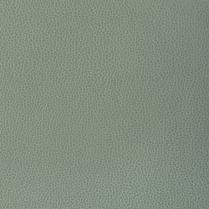 Kravet Design GILLIAN.1313.0 Gillian-1313 Fabric Sample