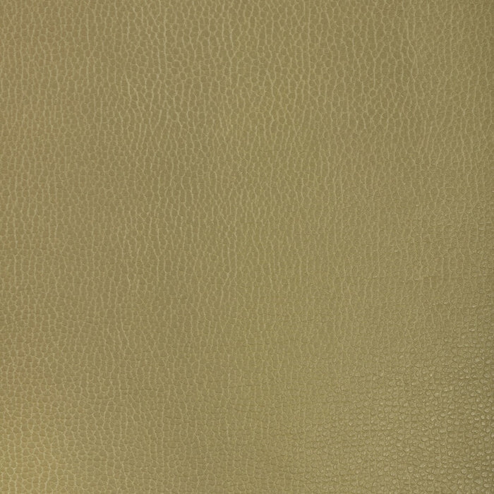 Kravet Design GILLIAN.23.0 Gillian-23 Fabric