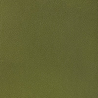Kravet Design GILLIAN.33.0 Gillian-33 Fabric
