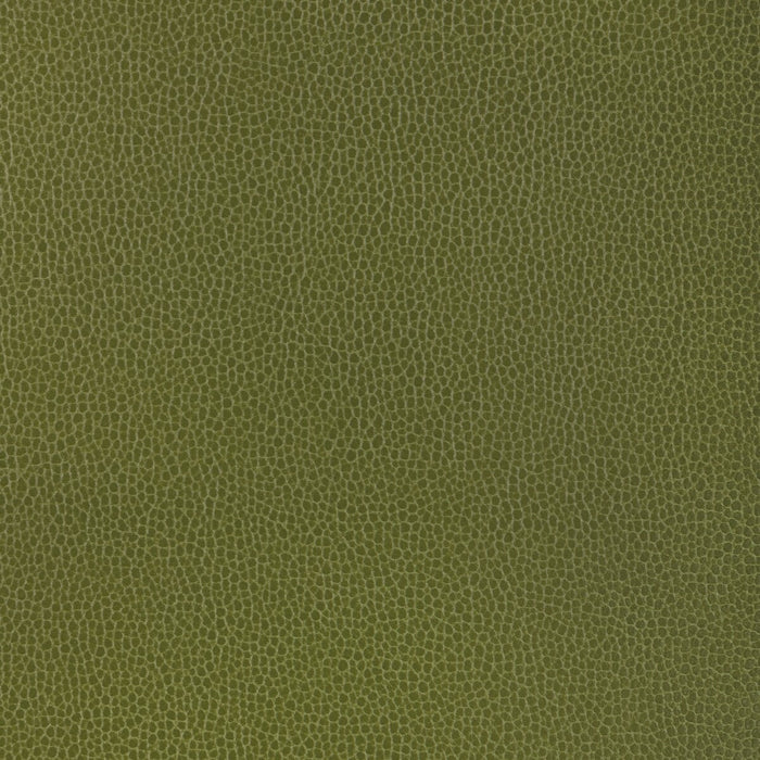 Kravet Design GILLIAN.33.0 Gillian-33 Fabric Sample