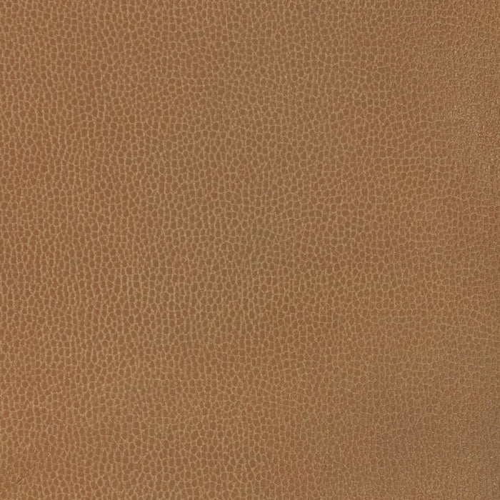 Kravet Design GILLIAN.6116.0 Gillian-6116 Fabric