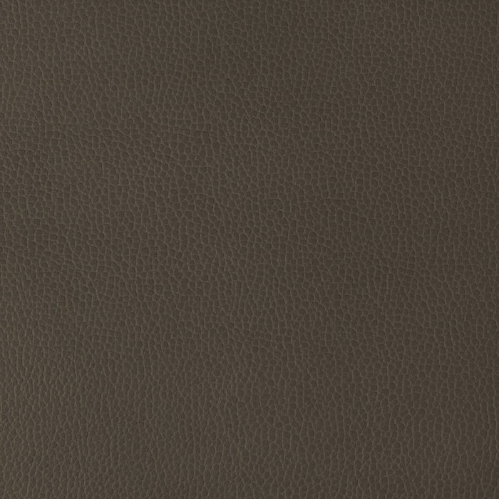 Kravet Design GILLIAN.6666.0 Gillian-6666 Fabric Sample