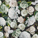 JF Fabrics Ginny 71 Fabric 8936471